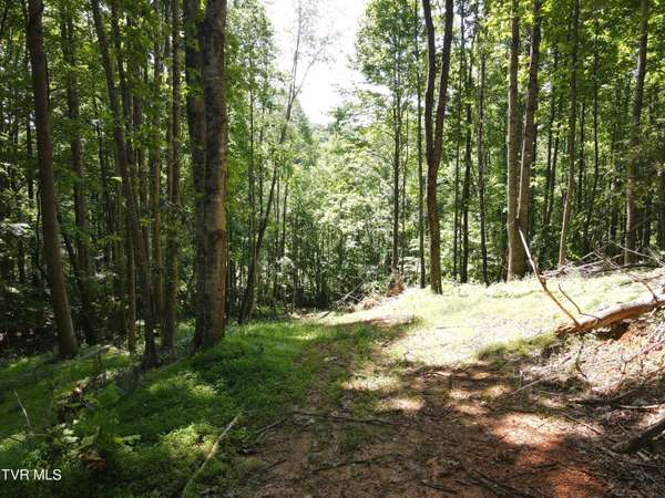 Johnson City, TN 37601,Tbd Whispering Pines Rd