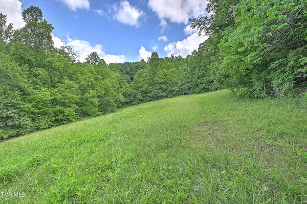 Duffield, VA 24244,000 Goode Hollow Road