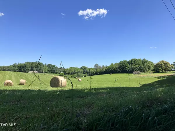 Telford, TN 37690,0 Armentrout Rd