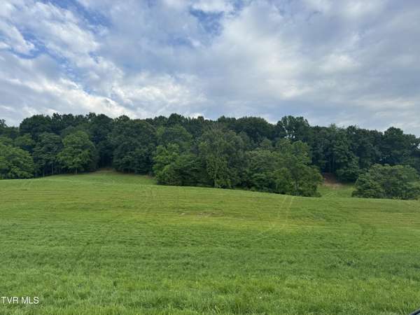 Limestone, TN 37681,Tbd Glendale RD