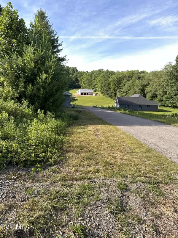 Mountain City, TN 37683,Lot # 55 Laurel WAY