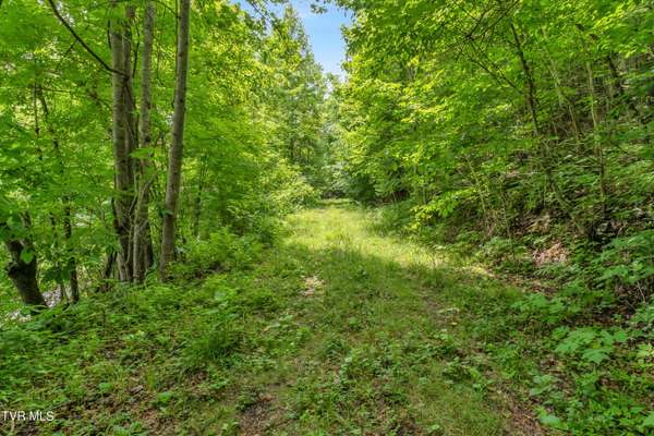 Castlewood, VA 24224,Tbd Buffalo Hollow Road