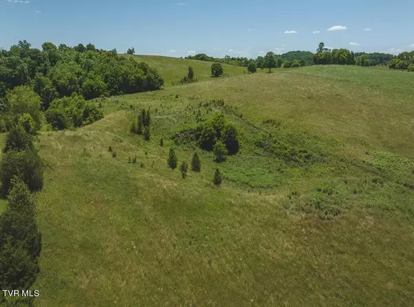 12.69 Acre Sugar Hollow RD, Russellville, TN 37860