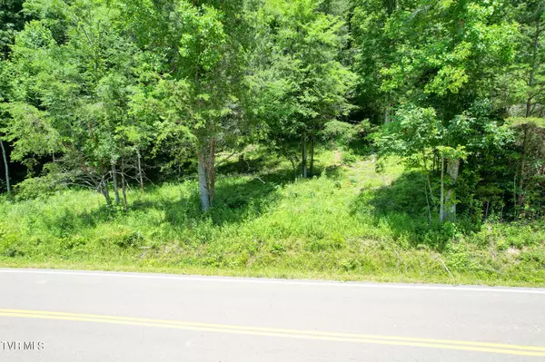 Rogersville, TN 37857,Tbd Pressmens Home RD