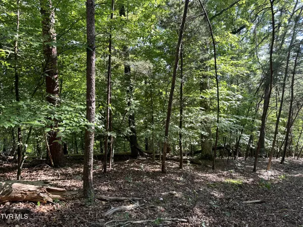 Baneberry, TN 37890,Lot 1239 Rustic DR