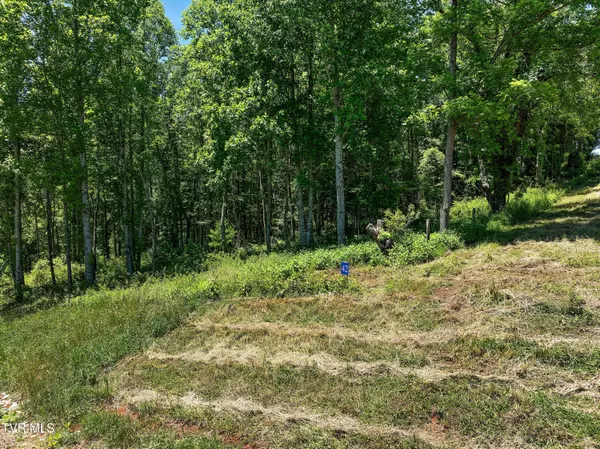 Butler, TN 37640,Lot 42 Eagle Ridge Pkwy