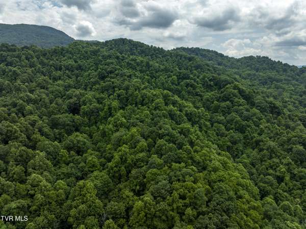 Roan Mountain, TN 37687,Tbd Whitehead Hollow Road