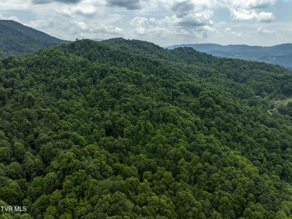 Roan Mountain, TN 37687,Tbd Whitehead Hollow Road