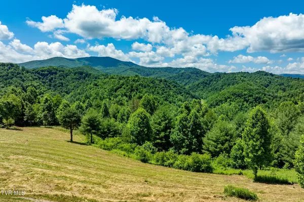 Butler, TN 37640,Lot 45 Eagle Ridge Pkwy