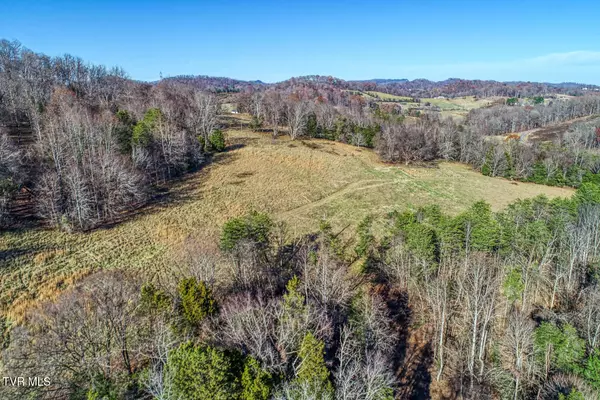 Rogersville, TN 37857,Tbd Chestnutt Town RD