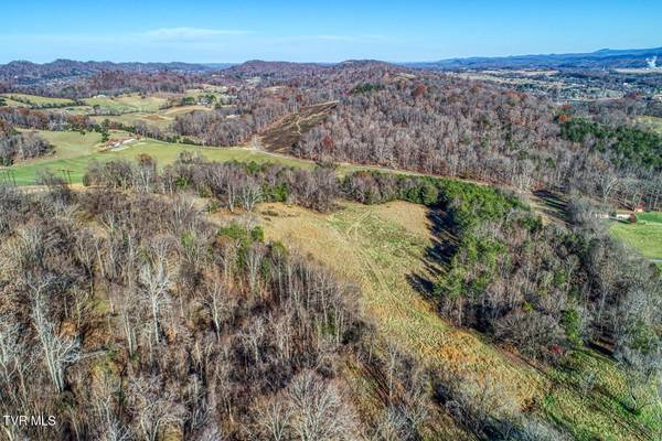 Rogersville, TN 37857,Tbd Chestnutt Town RD