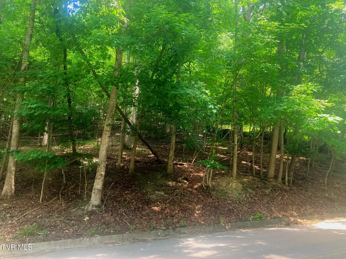 Bluff City, TN 37618,Lot 3 Lakeshore RD