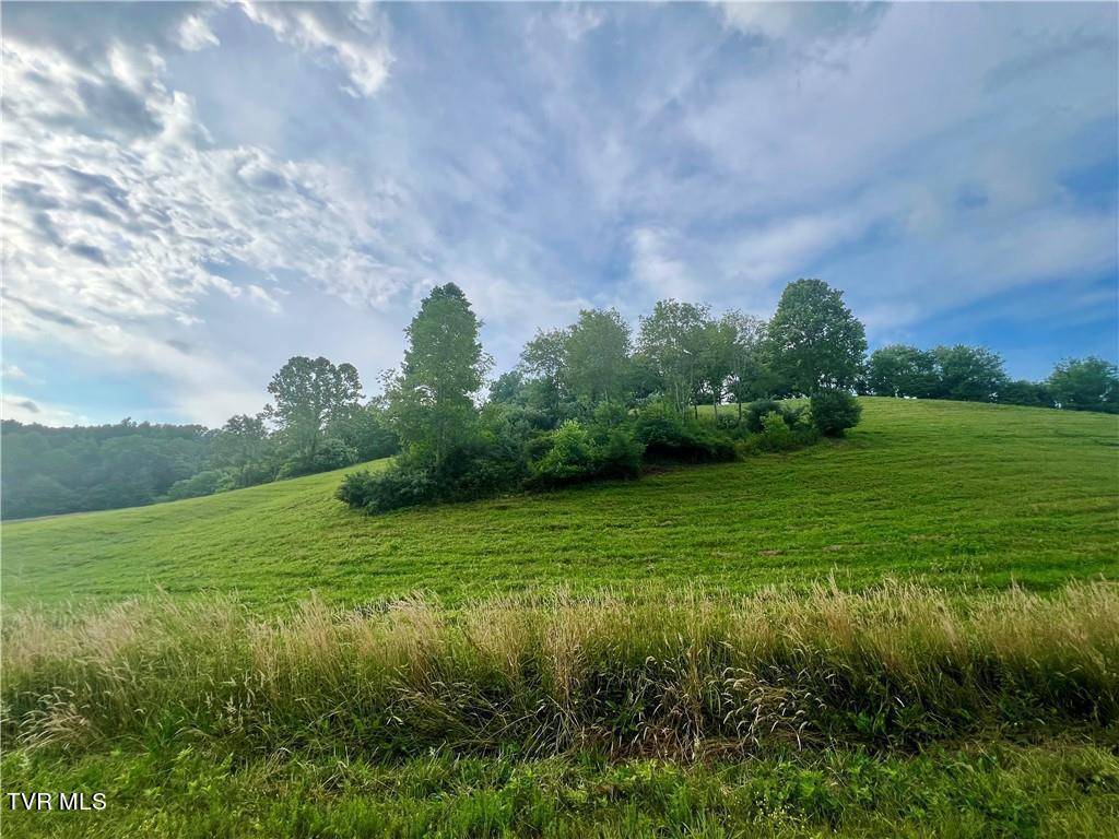 Butler, TN 37640,Lot 15/79 Silver Oak TRL