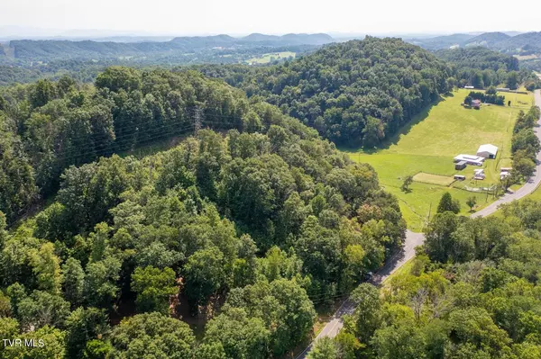 Blountville, TN 37617,Tbd Johnson Hollow RD