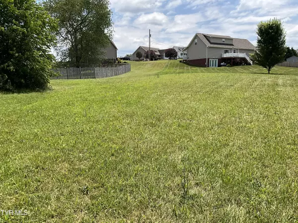 Gray, TN 37615,71 Creek View CT