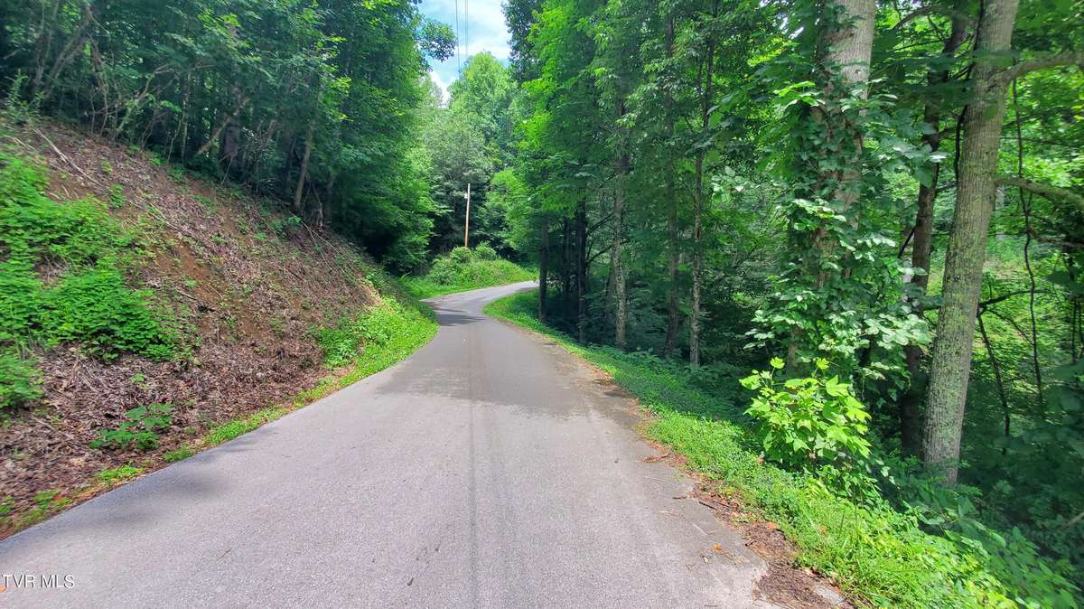 Roan Mountain, TN 37687,Tbd Us Highway 19e