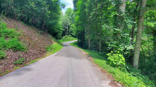 Tbd Us Highway 19e, Roan Mountain, TN 37687