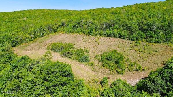 Tazewell, VA 24651,Lot 22 Oneida Peak RD