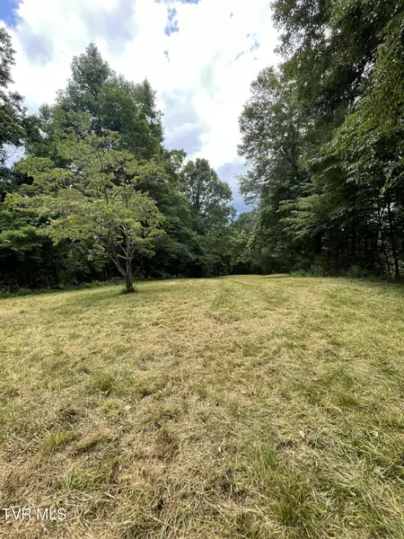 Tbd Raven Cliff RD, Erwin, TN 37650