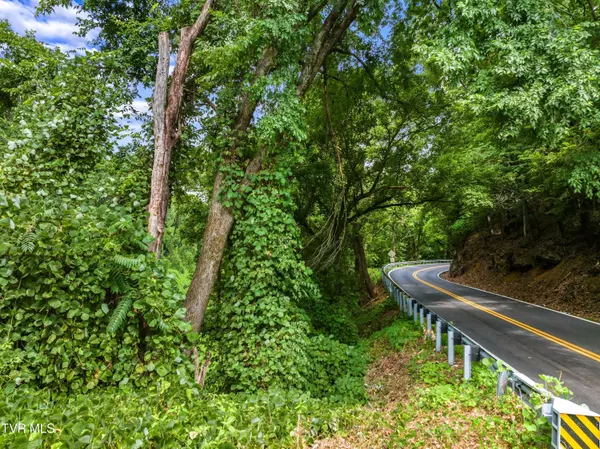 Rogersville, TN 37857,Tbd Highway 66