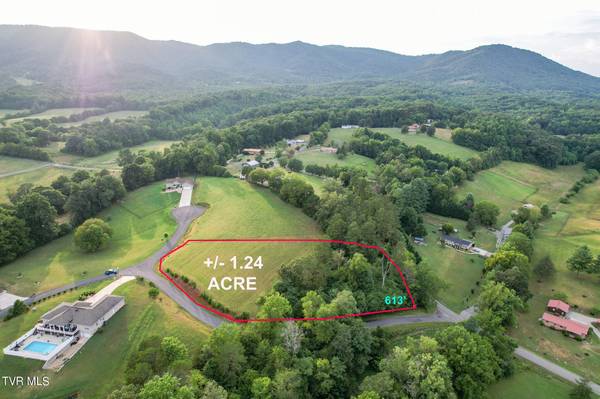 Newport, TN 37821,Lot 1 Buttercup Fields RD