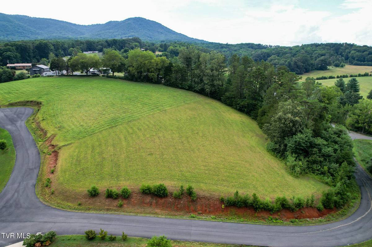 Newport, TN 37821,Lot 1 Buttercup Fields RD