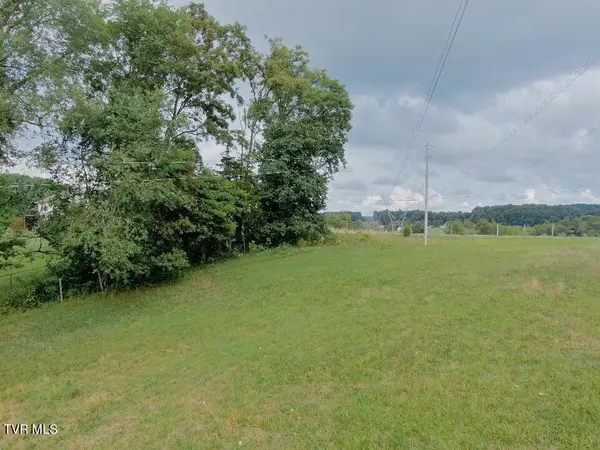 Jonesborough, TN 37659,Lot 2 Painter RD