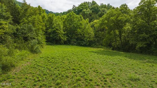 174 Acres War Creek RD, Eidson, TN 37731