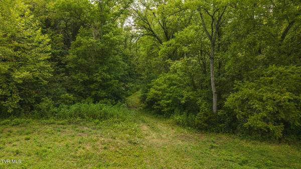 Eidson, TN 37731,Lot 2 War Creek RD