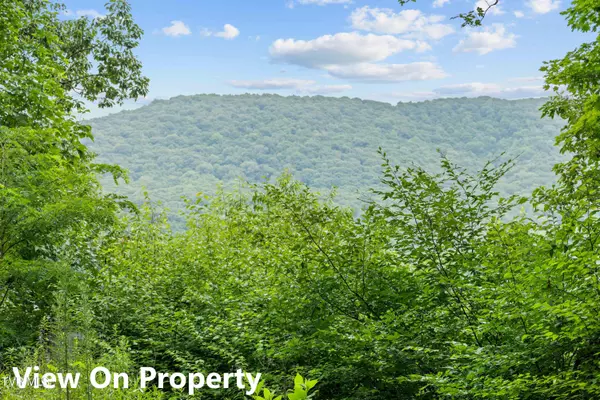 Roan Mountain, TN 37687,Lot 10 St Highway 143