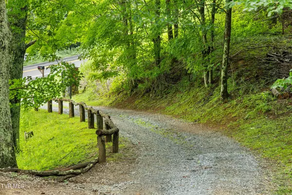 Roan Mountain, TN 37687,Lot 10 St Highway 143