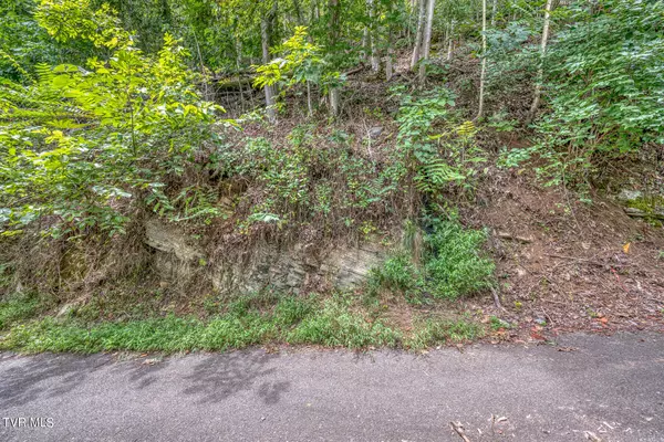 Gray, TN 37615,Lot 24 Furches DR