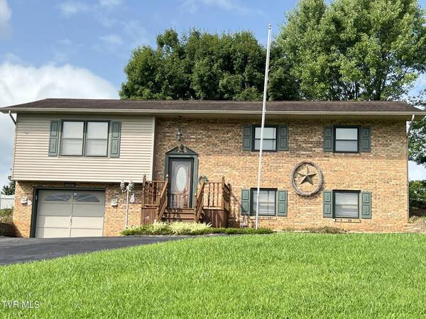 117 Carolyn AVE, Fall Branch, TN 37656