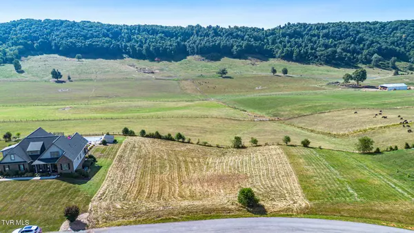 Abingdon, VA 24210,Tbd Homestead WAY #Lot 4