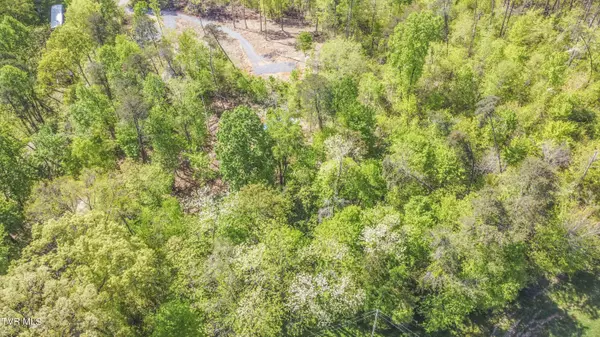 Rutledge, TN 37861,000 Dunville Gap RD