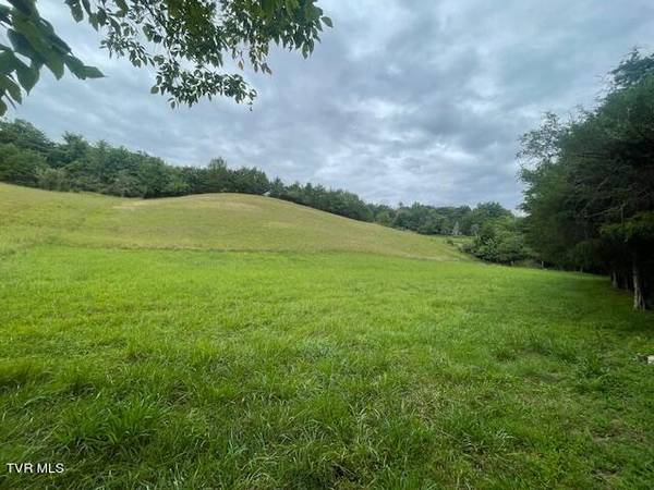 Piney Flats, TN 37686,371 Geisler RD