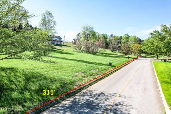 Baneberry, TN 37890,1.16 Ac Back Nine Dr