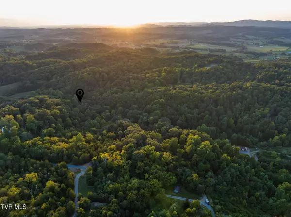 Bulls Gap, TN 37711,263 Buzzard Roost RD