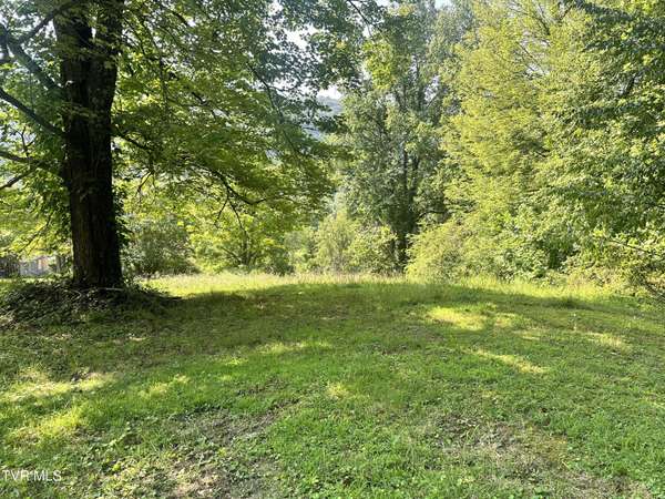 Big Stone Gap, VA 24219,Tbd Foley DR