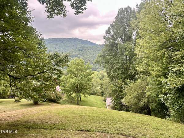 Tbd Foley DR, Big Stone Gap, VA 24219