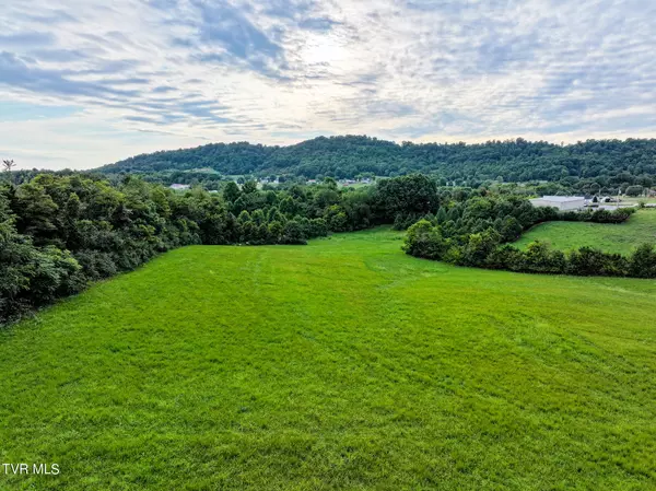 Chuckey, TN 37641,Lot 28r Andrew Johnson HWY