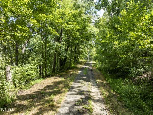 Butler, TN 37640,Lot 13 N. Of Draft RD