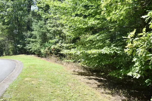 Greeneville, TN 37743,Lot 2 & 3 River Pointe DR