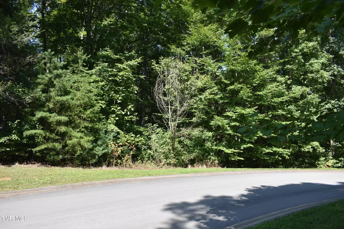 Greeneville, TN 37743,Lot 2 & 3 River Pointe DR