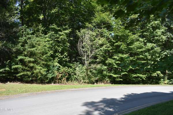 Lot 2 & 3 River Pointe DR, Greeneville, TN 37743