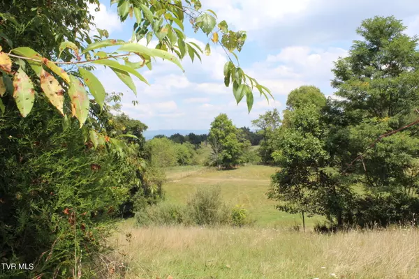 Tbd Chestnut Ridge RD, Chilhowie, VA 24319