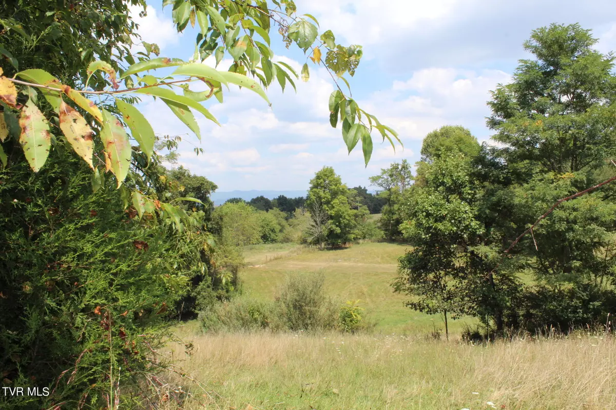 Chilhowie, VA 24319,Tbd Chestnut Ridge RD