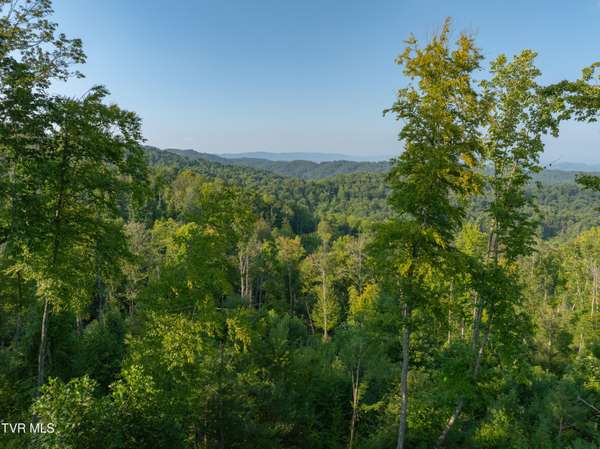 Roan Mountain, TN 37687,Tbd Walnut Mountain RD