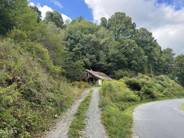 Roan Mountain, TN 37687,380 Crabtree RD