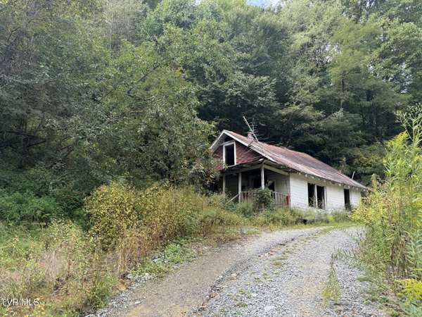 380 Crabtree RD, Roan Mountain, TN 37687